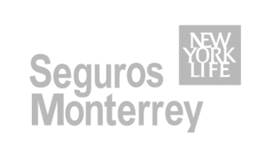 SEGUROS NEWYORK LIFE